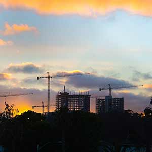 cranes on campus.